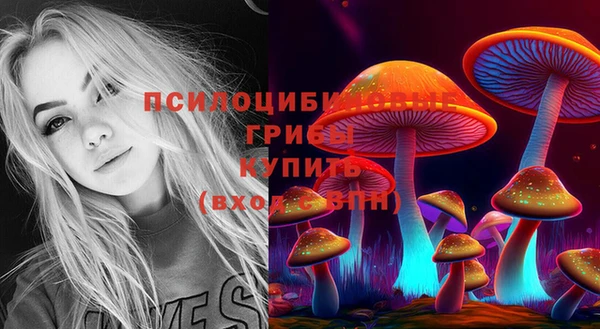 Альфа ПВП Алексеевка