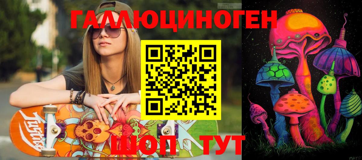 Псилоцибиновые грибы Psilocybine cubensis Дзержинский