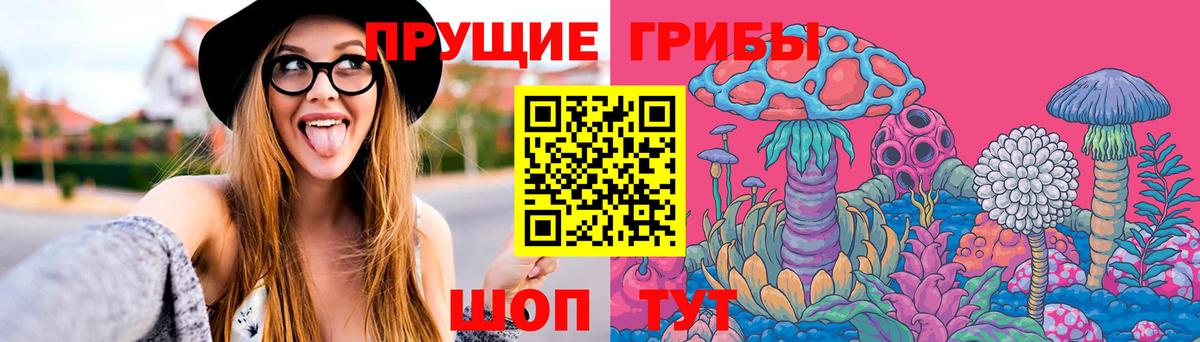 Дзержинский  Псилоцибиновые грибы Psilocybine cubensis  Вход с VPN 